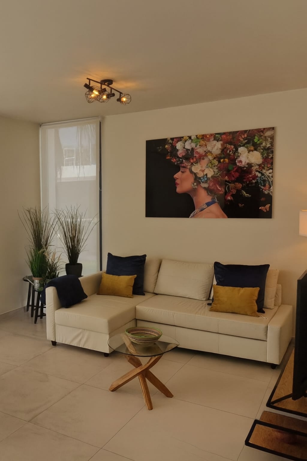 Living Casa Menor